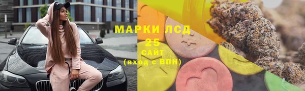СК Алексин