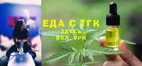 СК Алексин