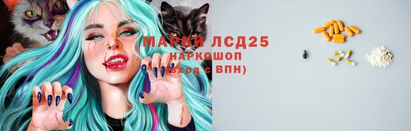 СК Алексин