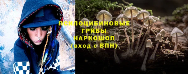 МДПВ Алзамай
