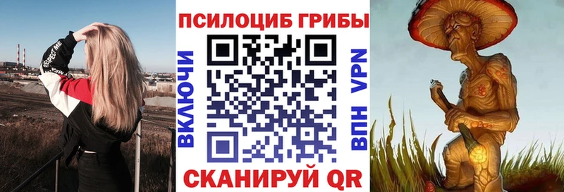 Галлюциногенные грибы Cubensis  что такое   Анива 